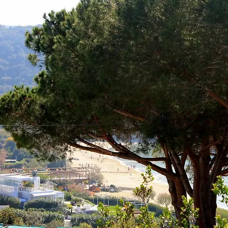 Scaglieri Mare By Argonautivacanze *